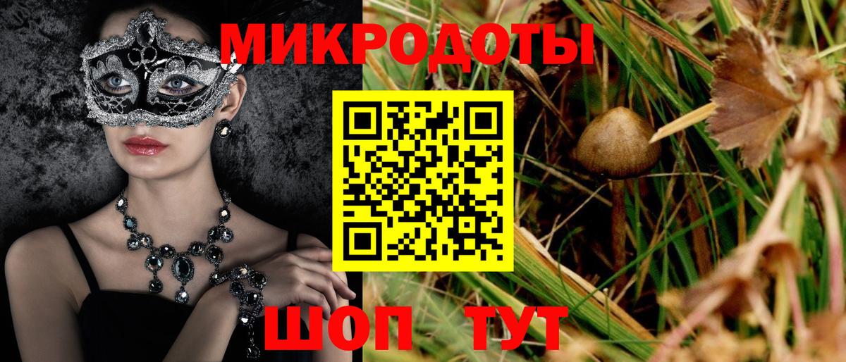 Галлюциногенные грибы Psilocybine cubensis  Псилоцибиновые грибы прущие грибы  Вход с VPN  Каменск-Уральский 